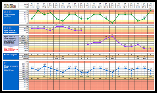 osce observation chart sample.png